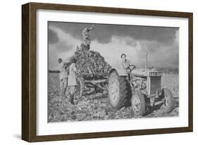 Women's Land Army Lifting a Crop, World War II, 1940-null-Framed Premium Giclee Print