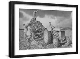 Women's Land Army Lifting a Crop, World War II, 1940-null-Framed Giclee Print