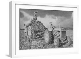 Women's Land Army Lifting a Crop, World War II, 1940-null-Framed Giclee Print