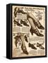 Women's Shoes 1924-null-Framed Stretched Canvas