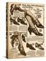 Women's Shoes 1924-null-Stretched Canvas