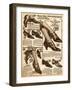 Women's Shoes 1924-null-Framed Art Print