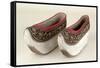 Women's Shoes-null-Framed Stretched Canvas
