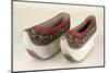 Women's Shoes-null-Mounted Photographic Print