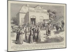 Women's Suffrage in New Zealand-null-Mounted Giclee Print