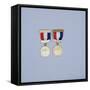 Women's USGA Championship winner's medals, 1901-2-Unknown-Framed Stretched Canvas