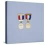Women's USGA Championship winner's medals, 1901-2-Unknown-Stretched Canvas
