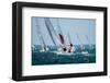 Women Sailing at Regatta-null-Framed Art Print