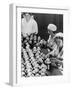 Women Sealing Flasks of Donated Blood, World War II, Moscow, 1941-null-Framed Giclee Print