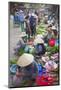 Women Selling Vegetables at Market, Hoi An, Quang Nam, Vietnam, Indochina, Southeast Asia, Asia-Ian Trower-Mounted Photographic Print