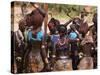 Women Sing and Dance Before the Bull Jumping, Turmi, Ethiopia-Jane Sweeney-Stretched Canvas