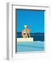 Women Sitting by Swimming Pool near Ocean-null-Framed Premium Giclee Print