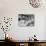 Women Sorting Clean Linens in Laundry Room at the Waldorf Astoria Hotel-null-Photographic Print displayed on a wall