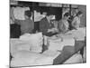 Women Sorting Clean Linens in Laundry Room at the Waldorf Astoria Hotel-null-Mounted Photographic Print