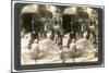 Women Sorting Large Piles of Silk Cocoons, Antioch, Syria, 1900s-Underwood & Underwood-Mounted Giclee Print