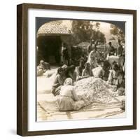 Women Sorting Large Piles of Silk Cocoons, Antioch, Syria, 1900s-Underwood & Underwood-Framed Giclee Print