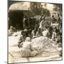 Women Sorting Large Piles of Silk Cocoons, Antioch, Syria, 1900s-Underwood & Underwood-Mounted Giclee Print