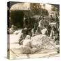 Women Sorting Large Piles of Silk Cocoons, Antioch, Syria, 1900s-Underwood & Underwood-Stretched Canvas