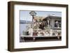 Women Standing Amidst Potted Plants on Floating Home Deck in Portage Bay, Seattle, Wa, 1971-Michael Rougier-Framed Photographic Print