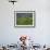 Women Tea Pickers on the Bunyan Estate Beside Lake Maskeliya in Sri Lanka-David Beatty-Framed Photographic Print displayed on a wall