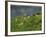 Women Tea Pickers on the Bunyan Estate Beside Lake Maskeliya in Sri Lanka-David Beatty-Framed Photographic Print