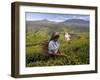 Women Tea Pickers, Tea Hills, Hill Country, Nuwara Eliya, Sri Lanka, Asia-Gavin Hellier-Framed Photographic Print