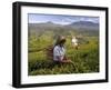 Women Tea Pickers, Tea Hills, Hill Country, Nuwara Eliya, Sri Lanka, Asia-Gavin Hellier-Framed Photographic Print