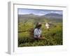 Women Tea Pickers, Tea Hills, Hill Country, Nuwara Eliya, Sri Lanka, Asia-Gavin Hellier-Framed Photographic Print