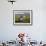 Women Tea Pickers, Tea Hills, Hill Country, Nuwara Eliya, Sri Lanka, Asia-Gavin Hellier-Framed Photographic Print displayed on a wall