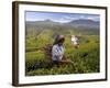 Women Tea Pickers, Tea Hills, Hill Country, Nuwara Eliya, Sri Lanka, Asia-Gavin Hellier-Framed Photographic Print