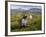 Women Tea Pickers, Tea Hills, Hill Country, Nuwara Eliya, Sri Lanka, Asia-Gavin Hellier-Framed Photographic Print