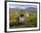 Women Tea Pickers, Tea Hills, Hill Country, Nuwara Eliya, Sri Lanka, Asia-Gavin Hellier-Framed Photographic Print