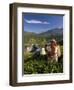 Women Tea Pickers, Tea Hills, Hill Country, Nuwara Eliya, Sri Lanka, Asia-Gavin Hellier-Framed Photographic Print