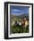 Women Tea Pickers, Tea Hills, Hill Country, Nuwara Eliya, Sri Lanka, Asia-Gavin Hellier-Framed Photographic Print