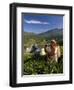 Women Tea Pickers, Tea Hills, Hill Country, Nuwara Eliya, Sri Lanka, Asia-Gavin Hellier-Framed Photographic Print