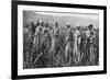 Women Tending Young Sugar Canes in Jamaica, 1922-null-Framed Giclee Print