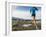 Women Trail Runner, Salt Lake City, Utah,-Brandon Flint-Framed Photographic Print