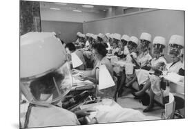 Women under Hair Dryers Getting Hair Styled in Beauty Salon at Saks Fifth Ave. Department Store-Alfred Eisenstaedt-Mounted Premium Photographic Print