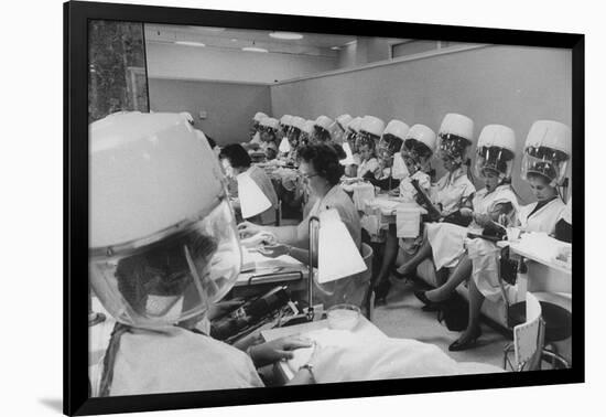 Women under Hair Dryers Getting Hair Styled in Beauty Salon at Saks Fifth Ave. Department Store-Alfred Eisenstaedt-Framed Photographic Print