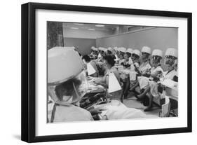 Women under Hair Dryers Getting Hair Styled in Beauty Salon at Saks Fifth Ave. Department Store-Alfred Eisenstaedt-Framed Photographic Print