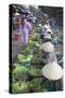 Women Vendors Selling Vegetables at Market, Hoi An, Quang Nam, Vietnam, Indochina-Ian Trower-Stretched Canvas