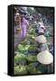 Women Vendors Selling Vegetables at Market, Hoi An, Quang Nam, Vietnam, Indochina-Ian Trower-Framed Stretched Canvas