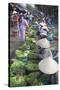 Women Vendors Selling Vegetables at Market, Hoi An, Quang Nam, Vietnam, Indochina-Ian Trower-Stretched Canvas