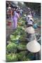 Women Vendors Selling Vegetables at Market, Hoi An, Quang Nam, Vietnam, Indochina-Ian Trower-Mounted Photographic Print