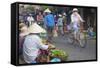 Women Vendors Selling Vegetables at Market, Hoi An, Quang Nam, Vietnam, Indochina-Ian Trower-Framed Stretched Canvas