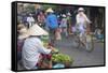 Women Vendors Selling Vegetables at Market, Hoi An, Quang Nam, Vietnam, Indochina-Ian Trower-Framed Stretched Canvas
