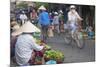 Women Vendors Selling Vegetables at Market, Hoi An, Quang Nam, Vietnam, Indochina-Ian Trower-Mounted Photographic Print