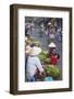 Women Vendors Selling Vegetables at Market, Hoi An, Quang Nam, Vietnam, Indochina-Ian Trower-Framed Photographic Print