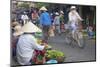 Women Vendors Selling Vegetables at Market, Hoi An, Quang Nam, Vietnam, Indochina-Ian Trower-Mounted Photographic Print