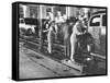 Women Washing Off the New Assemble Vehicles at the Fiat Auto Factory-Carl Mydans-Framed Stretched Canvas